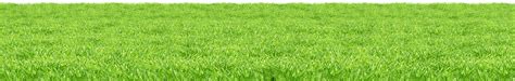 Line Of Grass PNG Clipart Background PNG Play