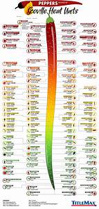 Infographic On Peppers Ranked By Scoville Heat Units By Titlemax