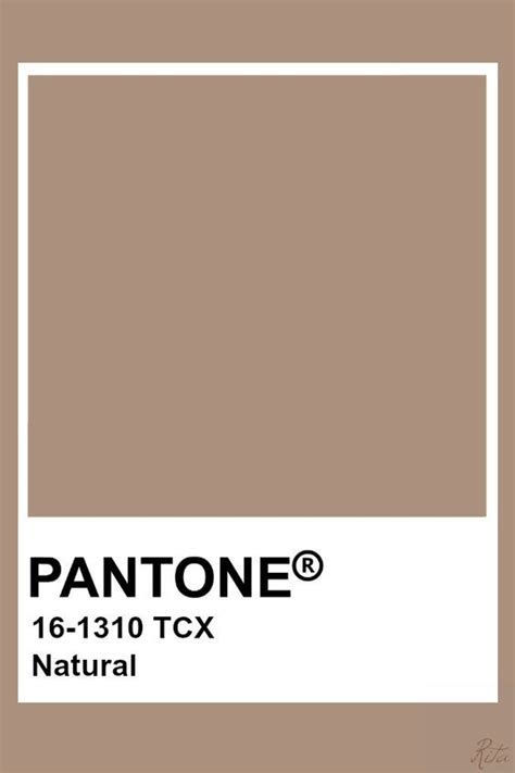 Pantones Color Swat List For The New Paint Scheme Featuring Tan And