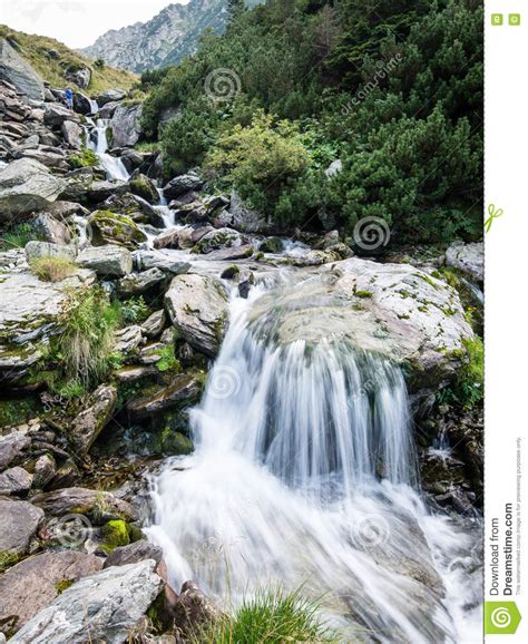 Waterfall From Ravine Stock Image Image Of Stream Romania 76802381