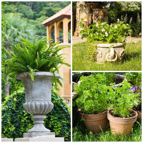 Different Types Of Plant Pots To Try Out Plants Types