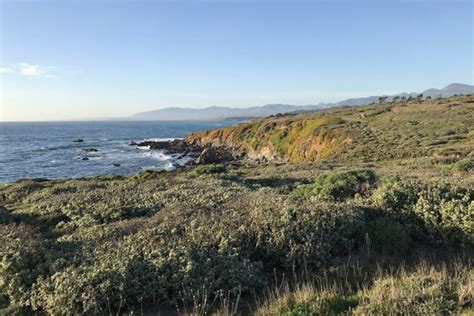 20 Best Things To Do In Cambria Ca For 2023
