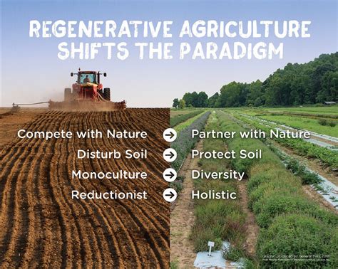 The Key Principles Of Regenerative Agriculture