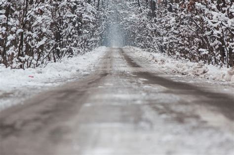 Free Images Forest Frost Asphalt Ice Weather Season Blizzard