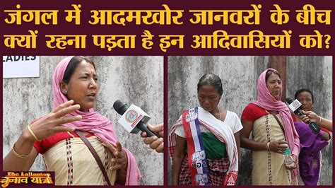 Pm Modi से क्या मांग रहे Laika Dodhia National Park के बेघर लोग Assam Election 2021 Youtube