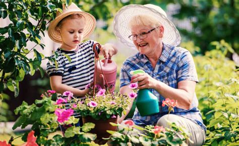 Gardening As Therapy For Alzheimers And Dementia Green Collar