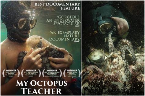 My Octopus Teacher