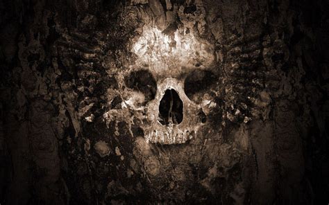 Download Hd Skull Wallpaper By Joshuaanderson Skull Desktop Backgrounds Skull Wallpaper