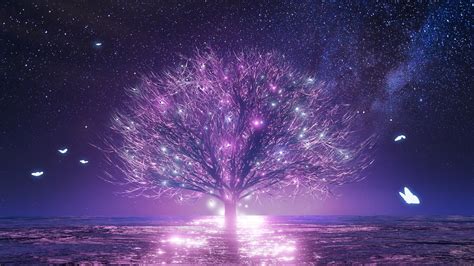 Download 1920x1080 Anime Landscape Sakura Blossom Lonely Tree Starry