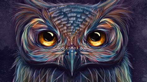 Owl Colorful Art 4k Wallpaper 4k