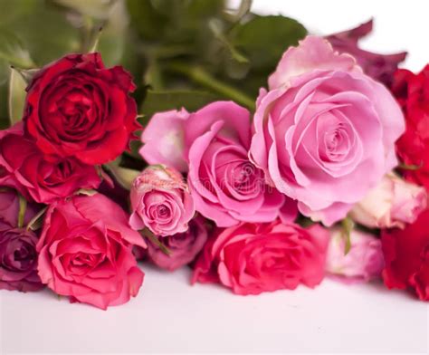 Beautiful Bouquet Of Pink And Red Roses On White Background Stock