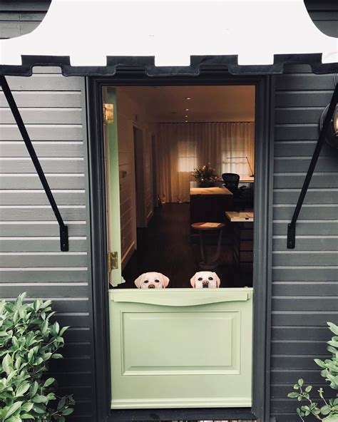 Paul Bates Architects On Instagram We See You 🤣 Puppiesatwork