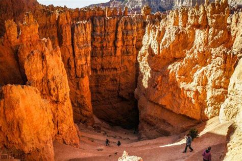 Check spelling or type a new query. Is Bryce Canyon National Park Dog-Friendly? | Dirt In My Shoes