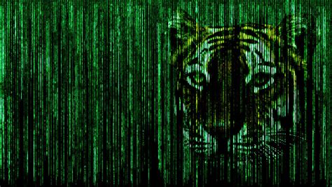 Matrix Tiger Effect By En3rgy16 On Deviantart