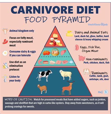 The Nutritionists Guide To The Carnivore Diet A Beginners Guide