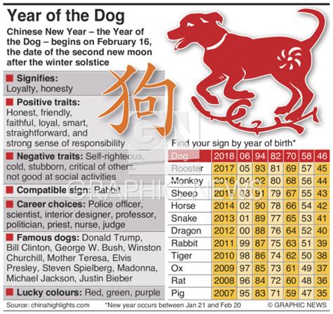 China Year Of The Dog Infographic