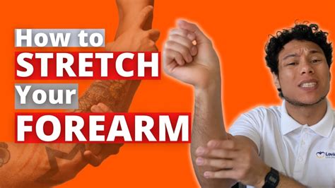 How To Stretch The Forearm Youtube