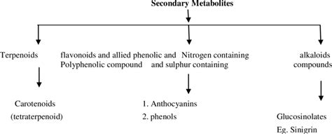 Classification Of Secondary Metabolites On The Basis Of Their