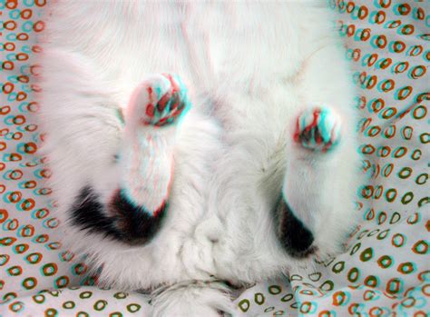 Our Cat Patch 3d Anaglyph Stereo Red Cyan Wim Hoppenbrouwers Flickr