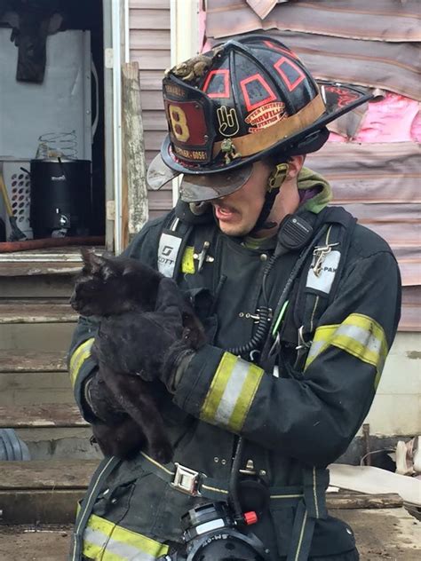 Firefighters Rescue Cats From House Fire Popsugar Pets