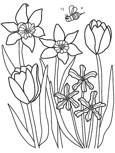 Let's color some spring coloring pages! Spring Flowers Coloring Pages Printable at GetColorings ...