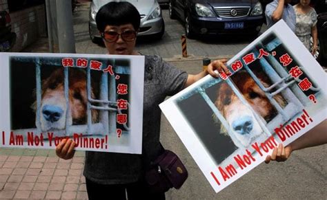 China City Holds Dog Meat Eating Festival Despite Protests
