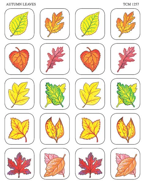 Autumn Leaves Stickers Tcr1257 Teacher Created Resources