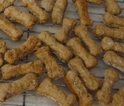 Baking Treats For Your Dog Easy Cheap Crunchy Beef Bones Recipe To