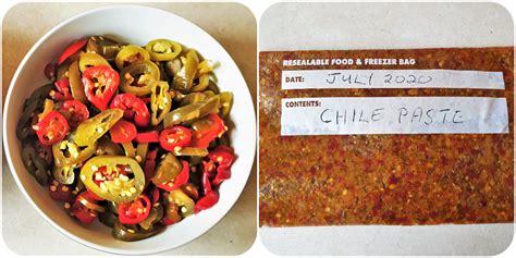 Tam jalapenos are bred to be more resistant to disease as well. Jalapeno chili paste - add spice to your meals - Foodle Club