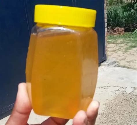 Natural Honey At Rs 250 Kg Nashik ID 22702462262