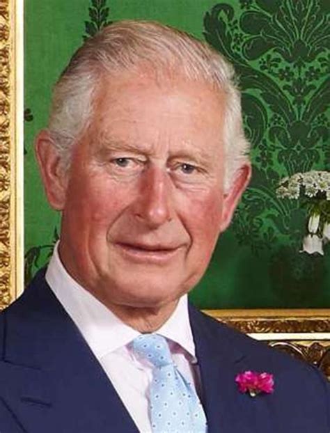 Charles Prince Of Wales Prince Of Wales Cool Portraits British
