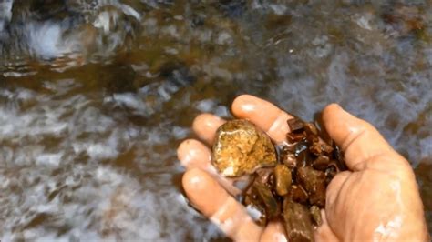 Alluvial Gold Prospecting The Best Places To Find Gold In A Creek