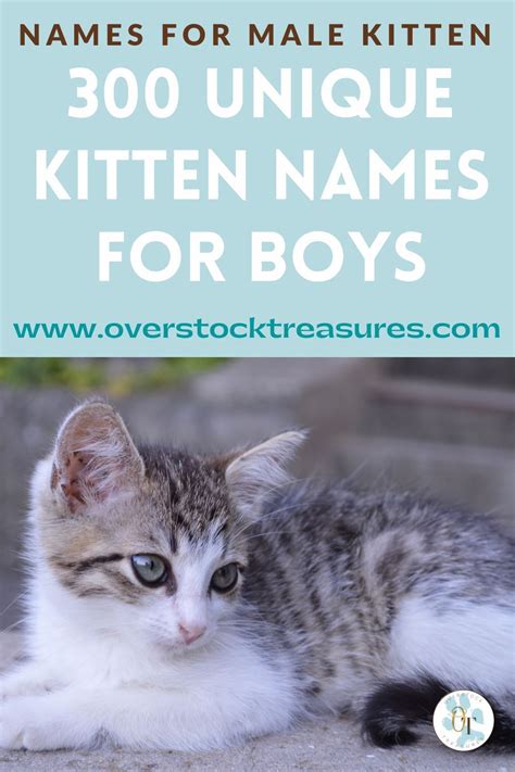 New Cat Names Male