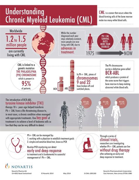 Understanding Chronic Myeloid Leukemia Lukaemia Australia Leukemia