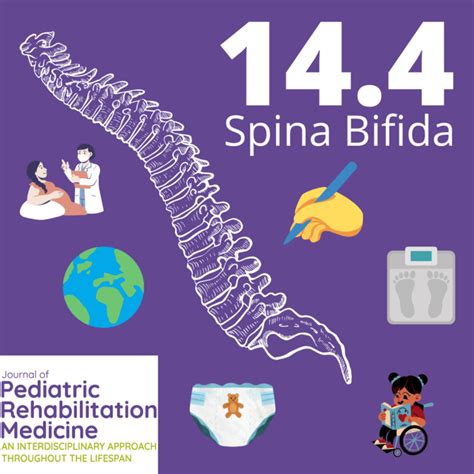 Spina Bifida Is A Global Disea IMAGE EurekAlert Science News Releases