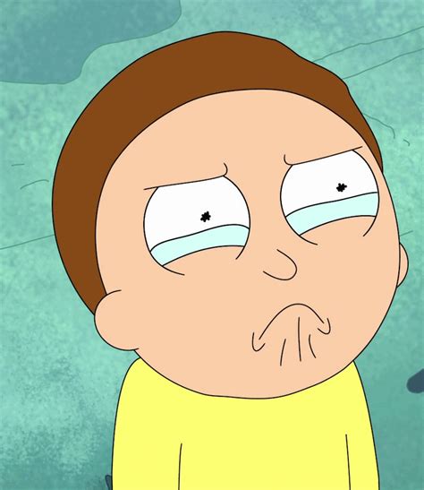 Rick And Morty Almost Sounded Very Very Different — Literally