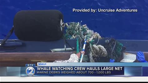 Whale Watching Expedition Encounters Massive Ocean Debris Youtube