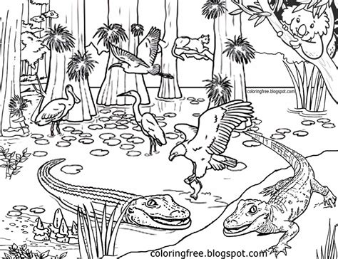 Australia Coloring Pages At Getdrawings Free Download