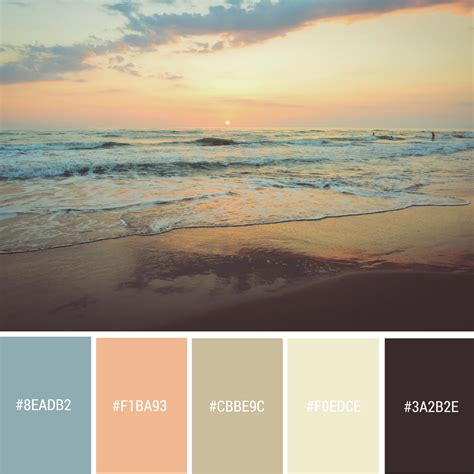 Color Palette Beach Beach Color Palettes Nature Color Palette My Xxx Hot Girl