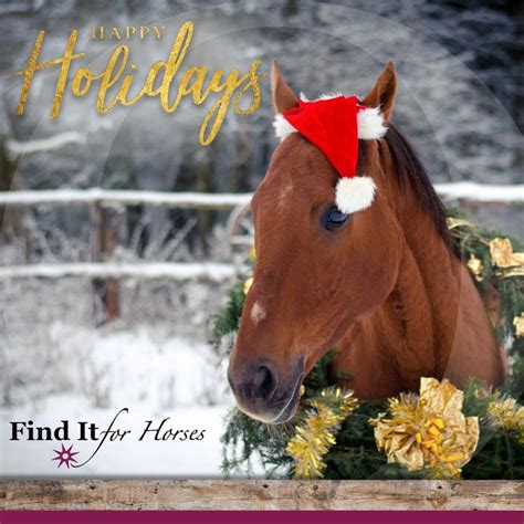 Happy Holidays Show Horses Horses Horse Love