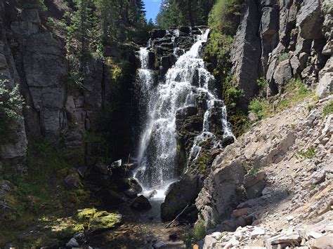 Kings Creek Falls Trail Norcal Hiker