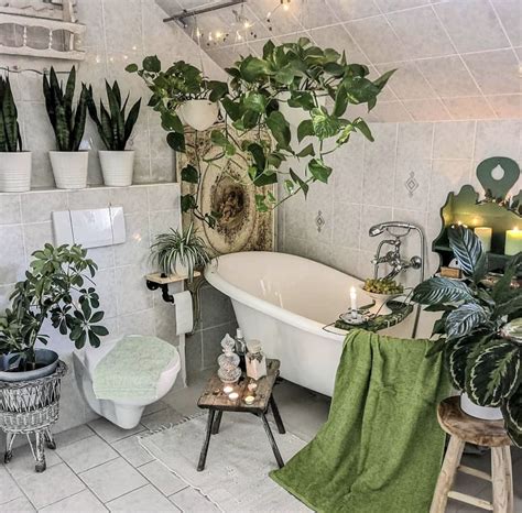Turns out expensive beauty products are not. 17 Bathroom Plants That Were Styled Perfectly