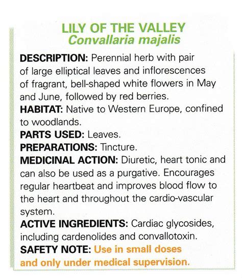 Lily Of The Valley Herbalism Magical Herbs Herbal Medicine