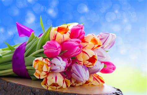 Fonds Decran Tulipes Bouquets Fleurs Télécharger Photo