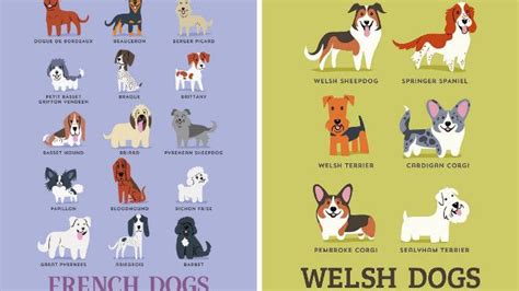 Incredibly Detailed Charts Will Help You Speak Your Dogs Language