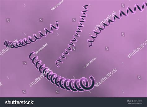 Microscopic Illustration Treponema Pallidum Bacterium Which 스톡 일러스트