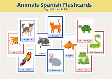 Animals Spanish Vocabulary Flashcards Etsy