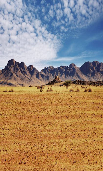 Desert Mountains Backdrop Photo Pie