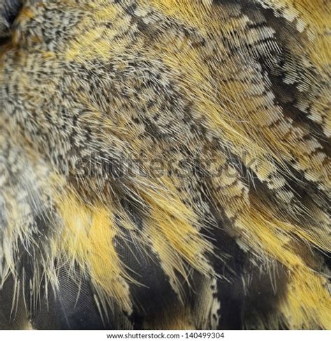Closeup Eurasian Eagle Owl Feathers Stock Photo Edit Now 140499304