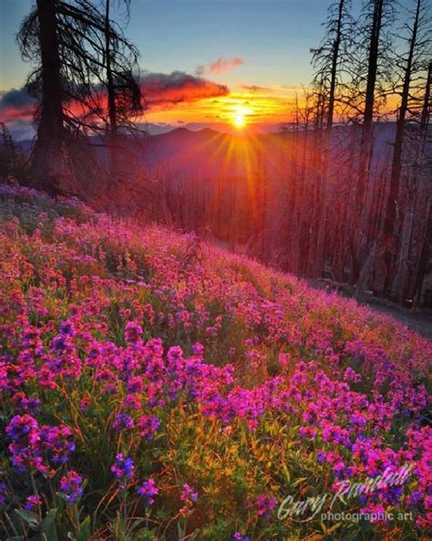 30 Stunning Sunrise Photos Top Dreamer